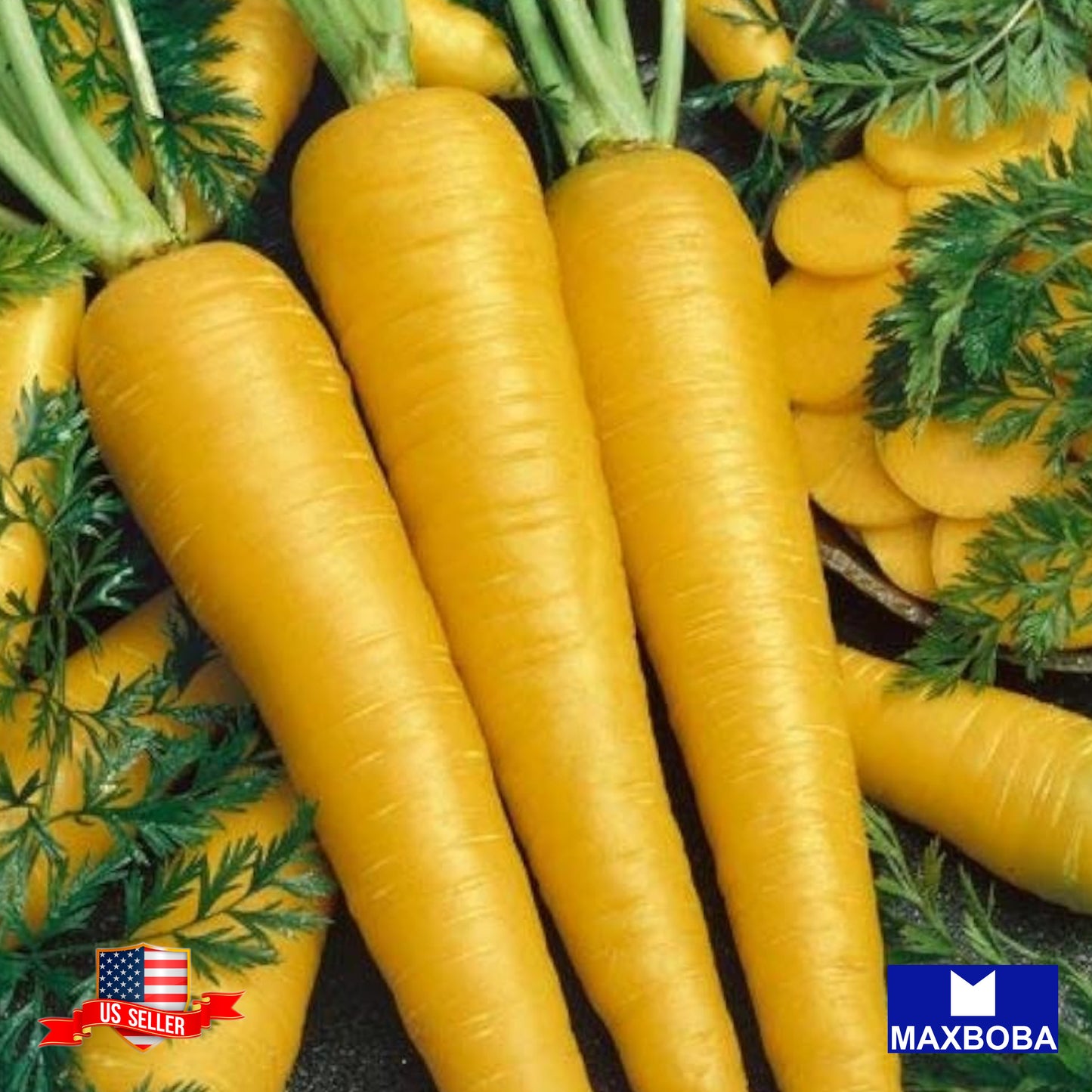 Carrot Yellow Seeds Non-GMO Heirloom Vegetable Garden