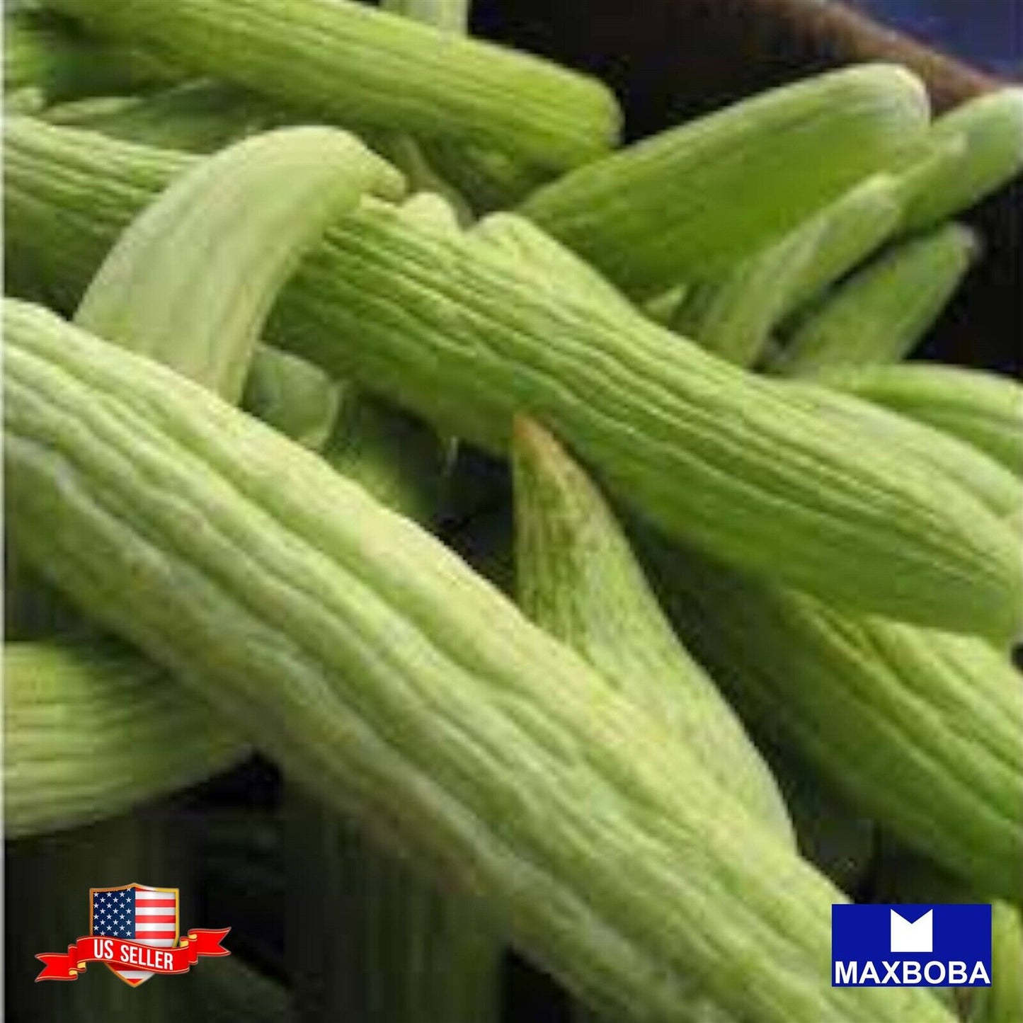 Non-GMO Cucumber Yard Long Seeds - Armenian - Organic Heirloom