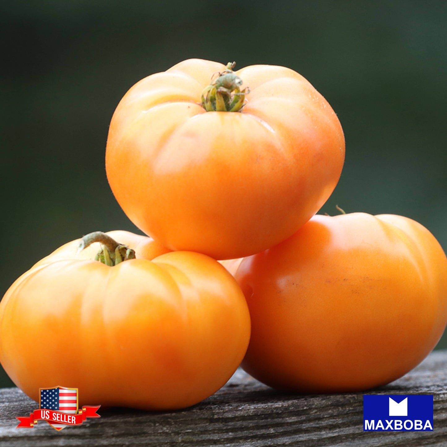 Tomato Seeds Cherry Orange Heirloom Vegetable Non-GMO