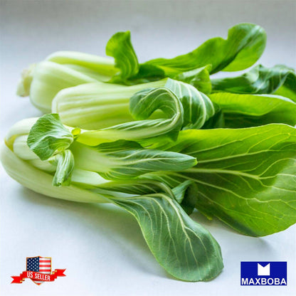 Cabbage Fresh Seeds Pak Choi White Stem Bok Choy Non-GMO Heirloom Vegetable