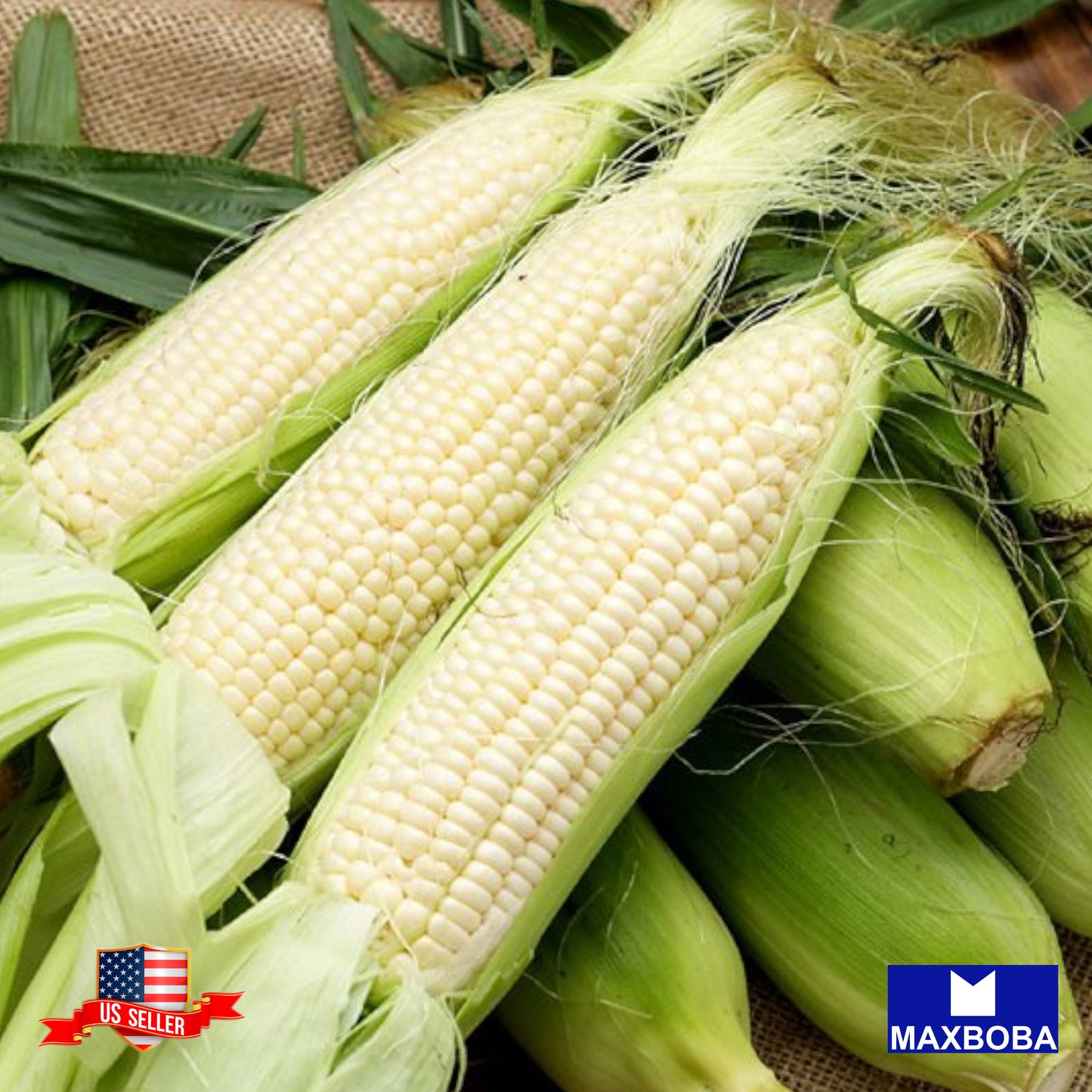 Corn Sweet Stowells Evergreen Seeds  Heirloom Vegetable Non-GMO
