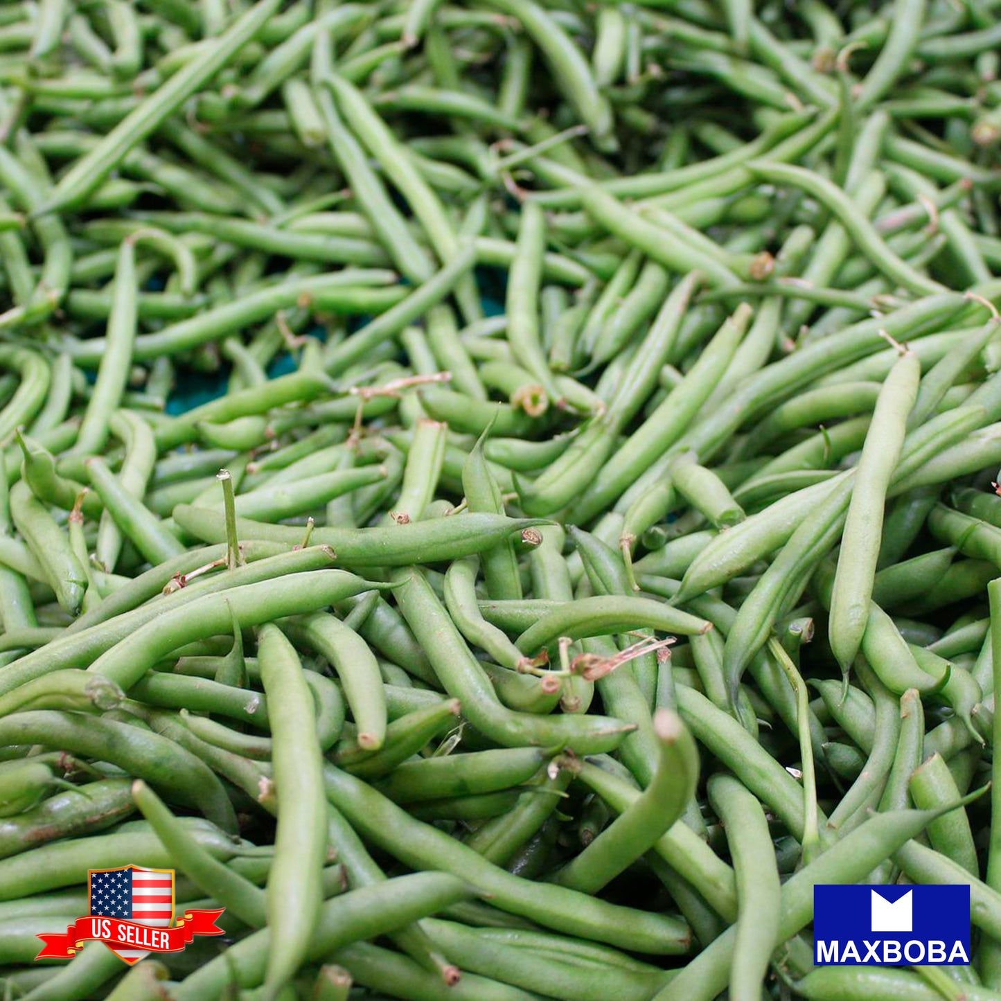 Non-GMO Bean Seeds - Lima - Henderson Lima Heirloom Vegetable Garden Fresh