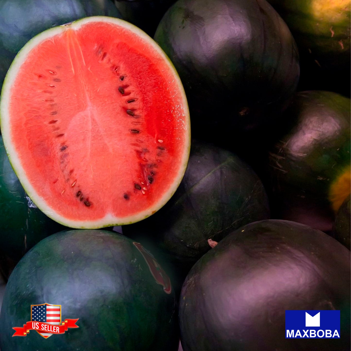 Non-GMO Watermelon Seeds - Black Diamond / Heirloom / Premium Seeds