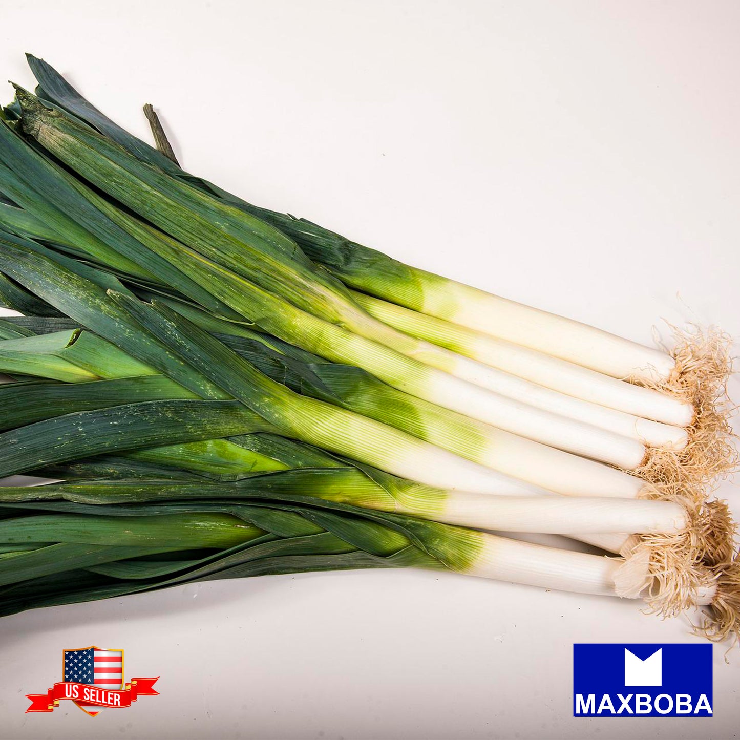 Leek Seeds - Large American Flag Non-GMO / Heirloom / Vegetable Garden