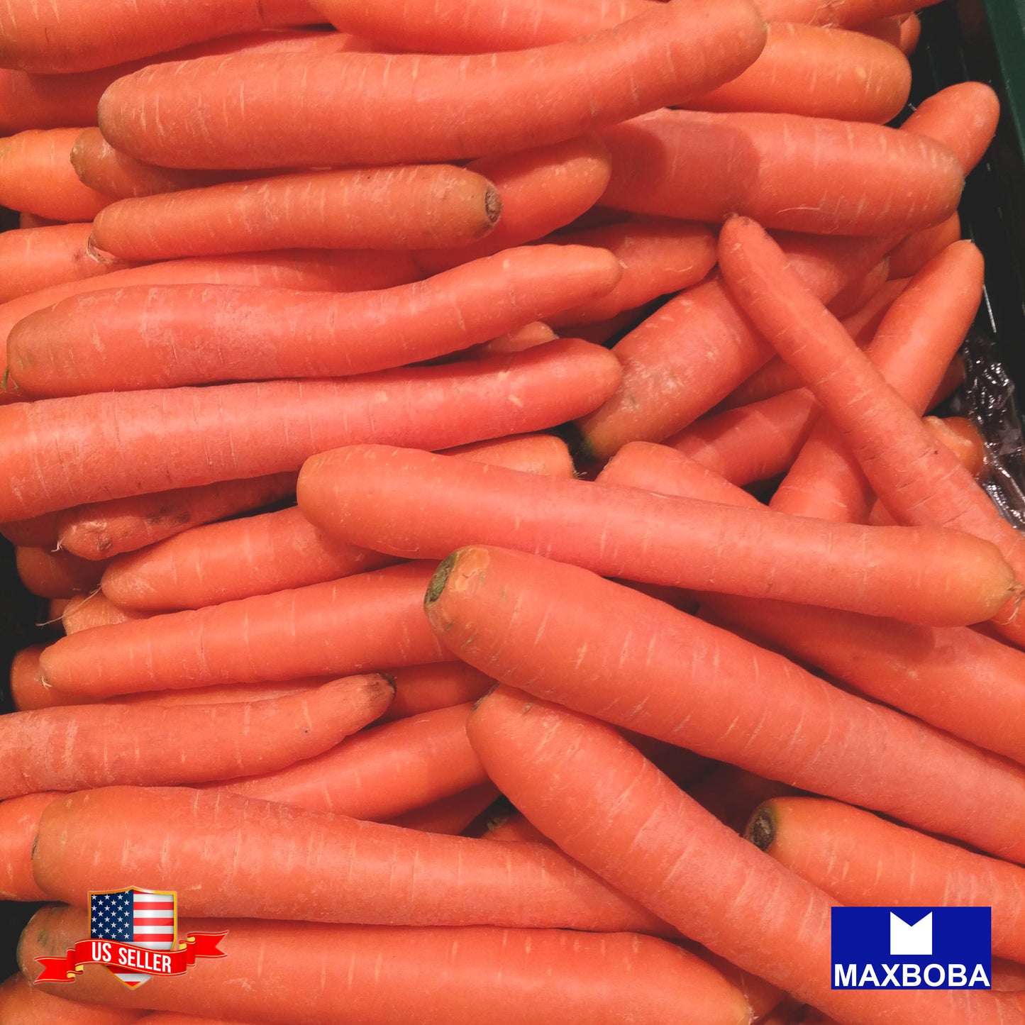 Non-GMO Carrot Seeds - Scarlet Nantes - / Heirloom / Vegetable