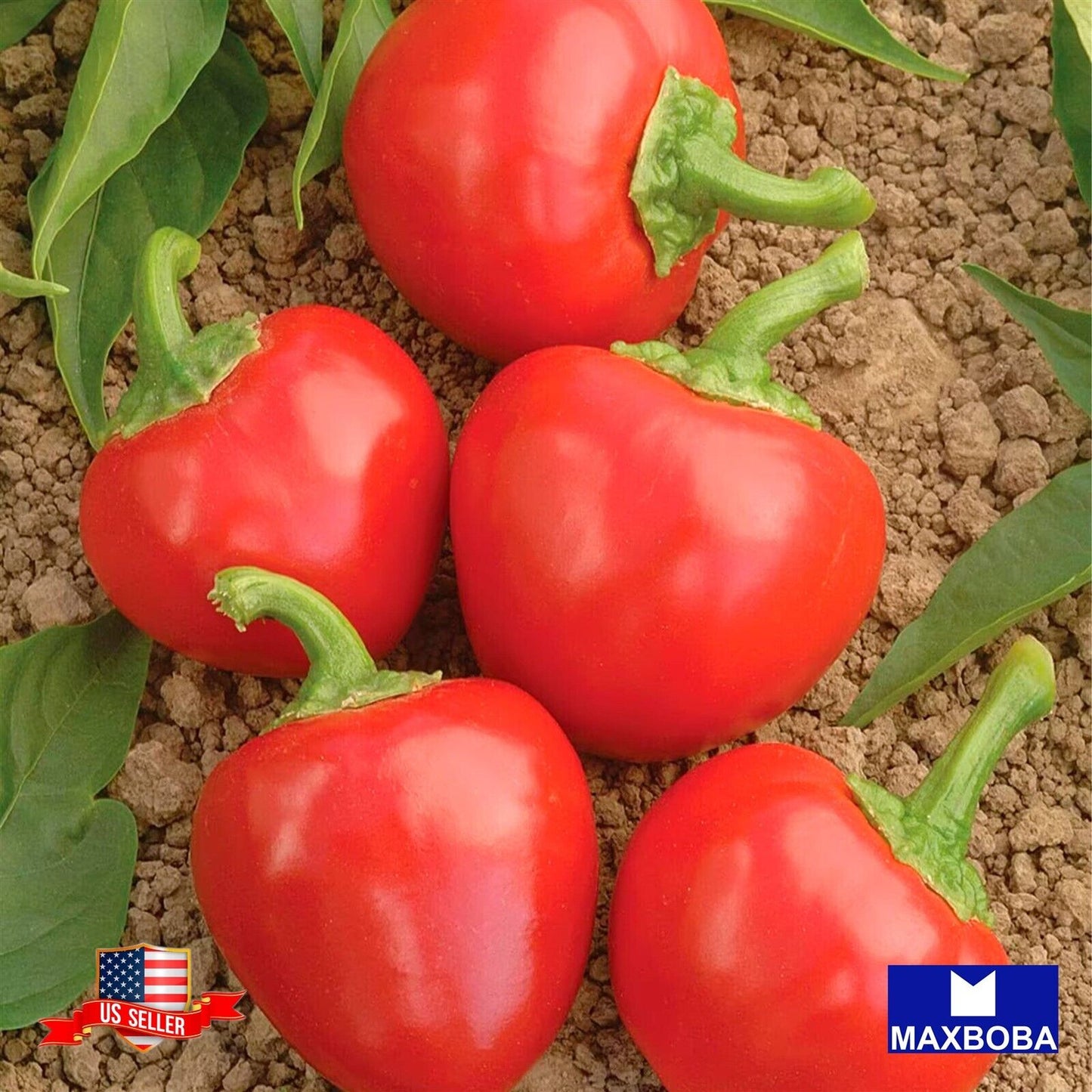 Pepper Seeds - Sweet - Red Cherry Sweet Non-GMO / Heirloom / Vegetable Garden