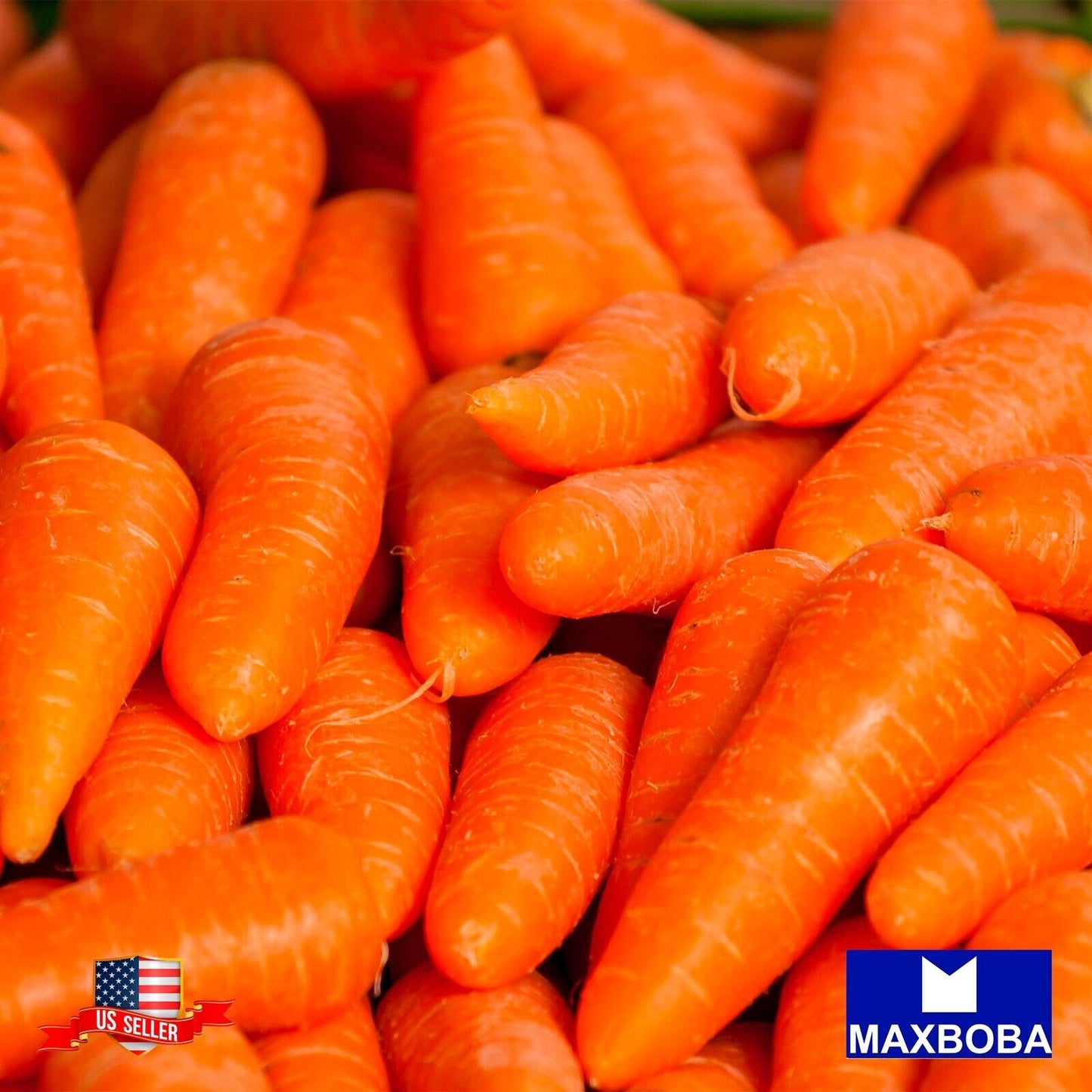 Carrot Seeds - Chantenay Red Core Non-GMO / Heirloom / Vegetable Garden
