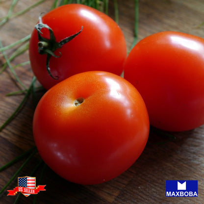 Tomato Stupice  Seeds Heirloom Vegetable Non-GMO