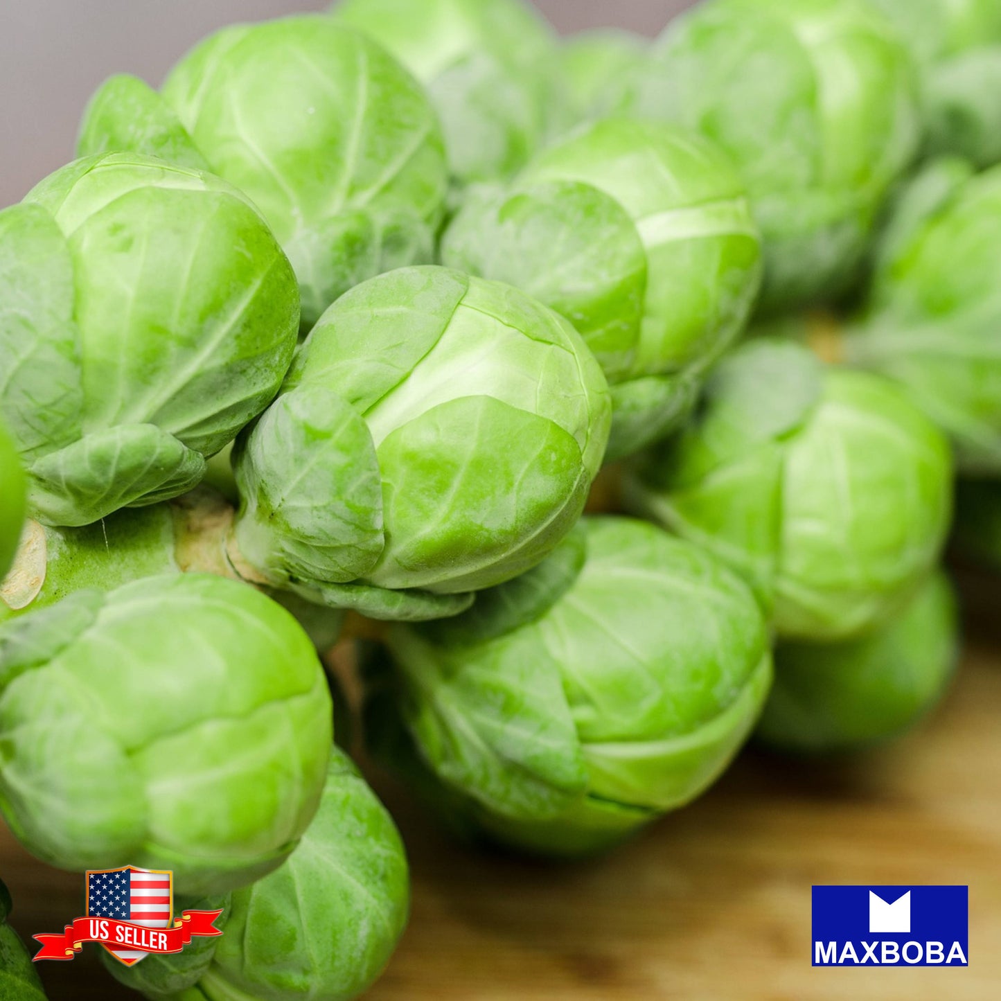 Brussels Sprouts Seeds - Catskill Non-GMO Heirloom Vegetable Garden