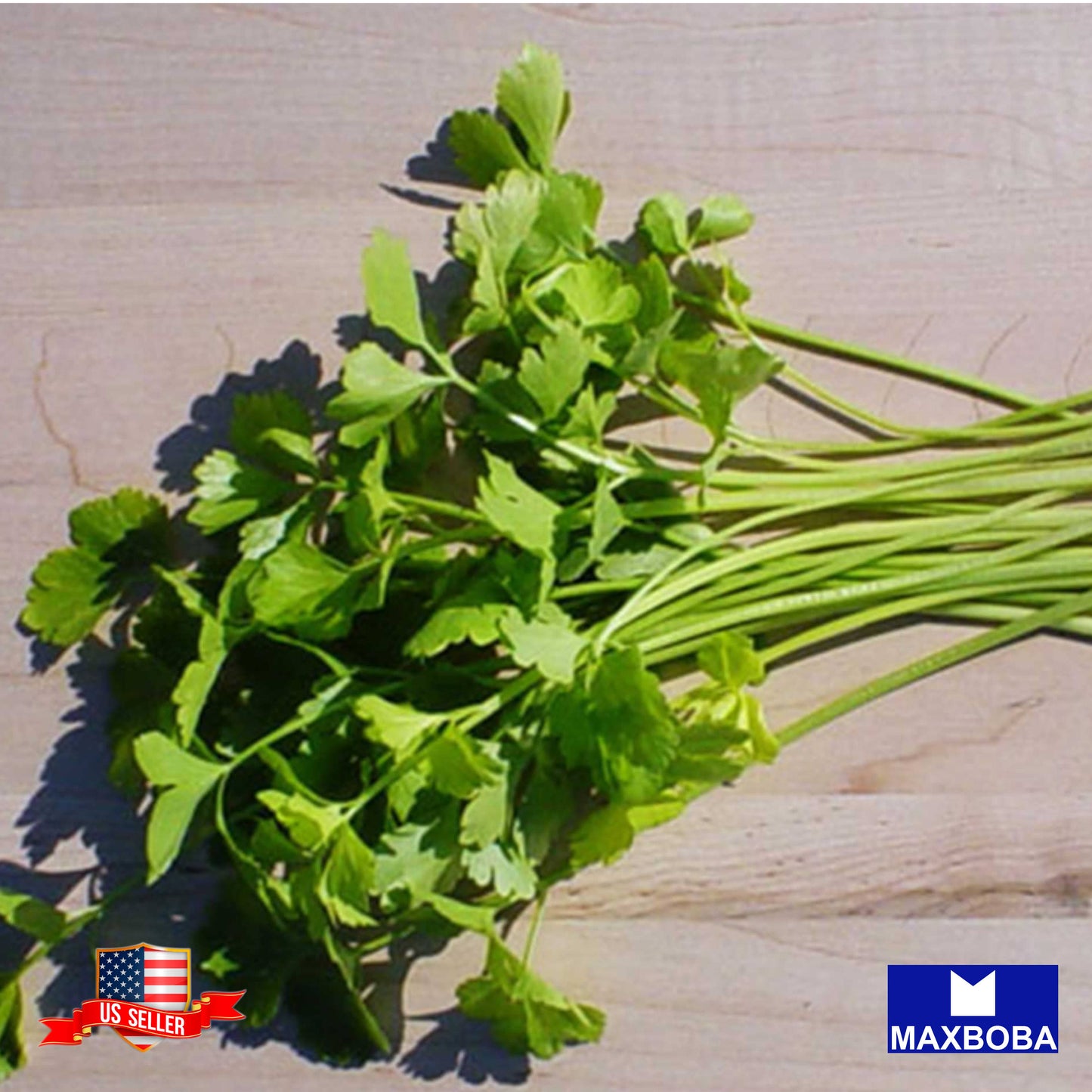 Non-GMO Chinese Celery Seeds - Light Green Heirloom Garden