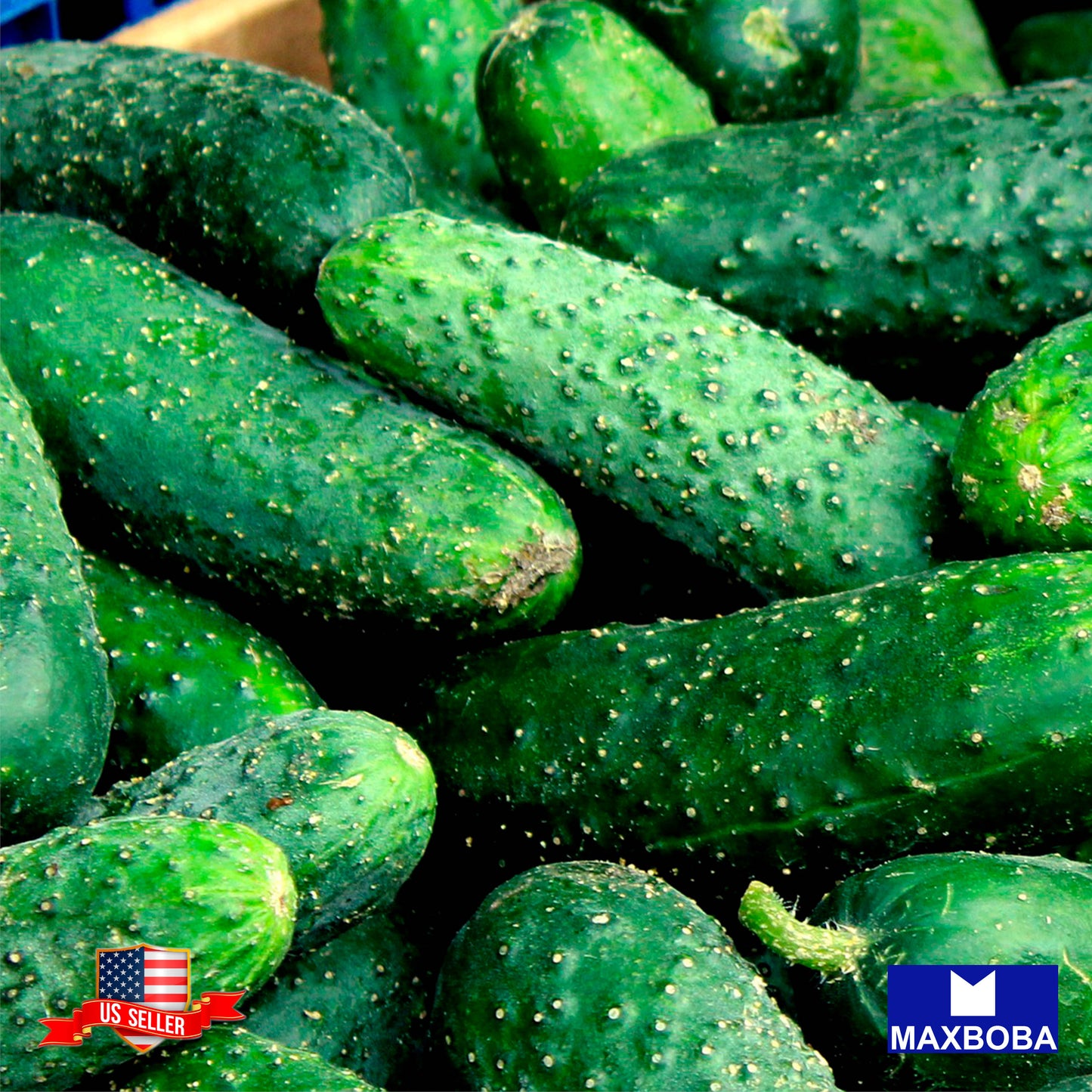 Fresh!!Marketmore 76 Cucumber Seeds (Organic) Non-GMO Heirloom Vegetable
