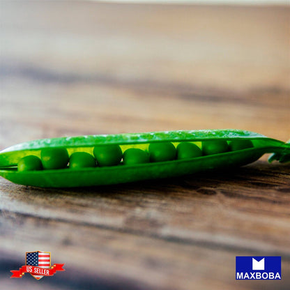 Non-GMO Pea Seeds - Green Arrow Non-GMO, Heirloom Garden Vegetable / Fresh
