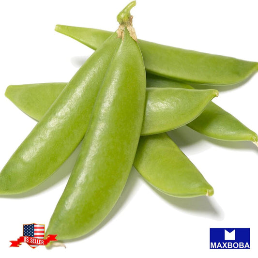 Pea Fresh Seeds - Snap - Sugar Ann Non-GMO Heirloom Garden Vegetable