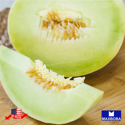Non-GMO Melon Seeds - Honeydew - Green Flesh Heirloom
