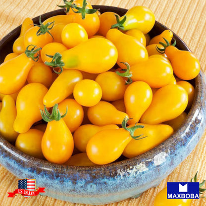 Tomato Yellow Pear Seeds Heirloom Vegetable Non-GMO
