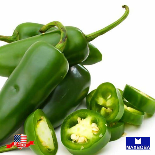 Pepper Seeds - Hot - Jalapeno M Non-GMO Heirloom Vegetable