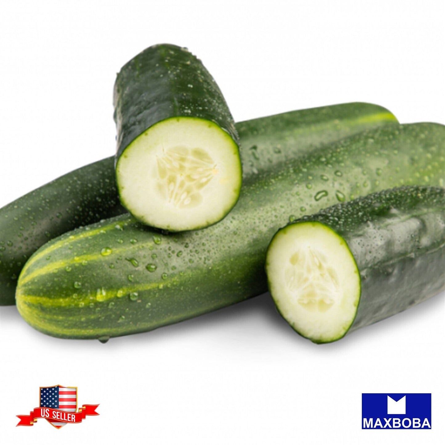 Cucumber Seeds Poinsett 76 Non-GMO Heirloom Vegetable