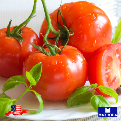Beefsteak Indeterminate Seeds Tomato Non-GMO Heirloom Vegetable Garden