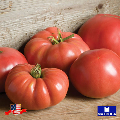 Tomato Seeds German Johnson Heirloom Vegetable Non-GMO