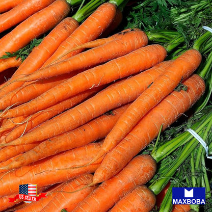 Carrot Imperator 58 Seeds Non-GMO Heirloom Vegetable Garden