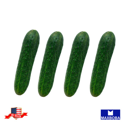 Cucumber Seeds - National Pickling Non-GMO Heirloom Vegetable Garden