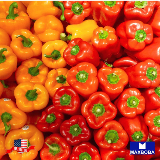 Pepper Seeds - Sweet - Yolo Wonder L Non-GMO / Heirloom / Vegetable Garden Fresh