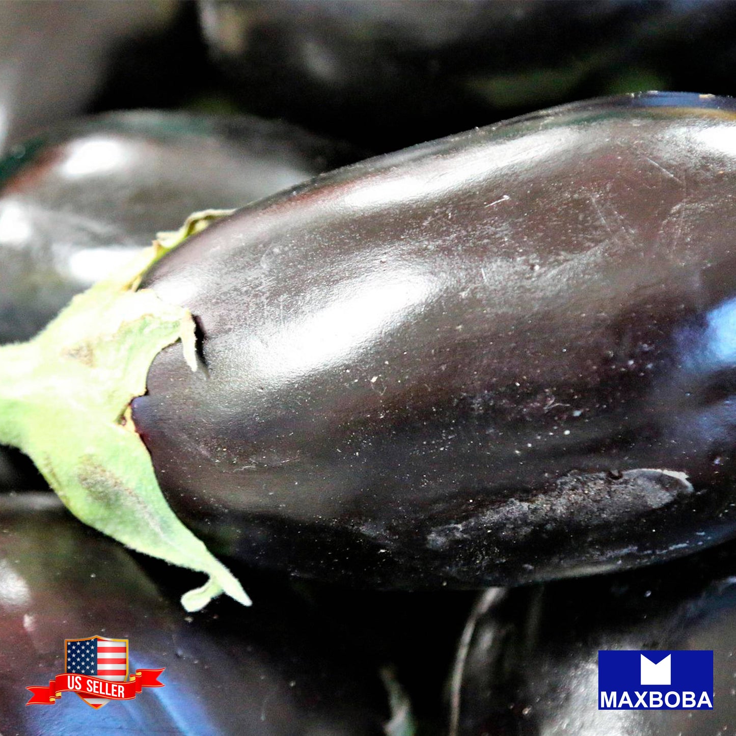 Fresh!!Black Beauty Fresh seeds Eggplant - Non-GMO Vegetable Garden