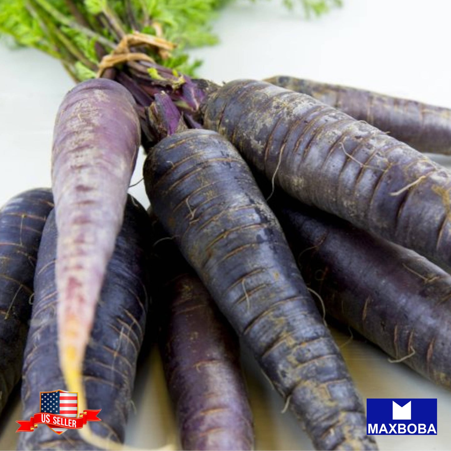 Non-GMO Carrot Seeds - Black Nebula Vegetable Heirloom