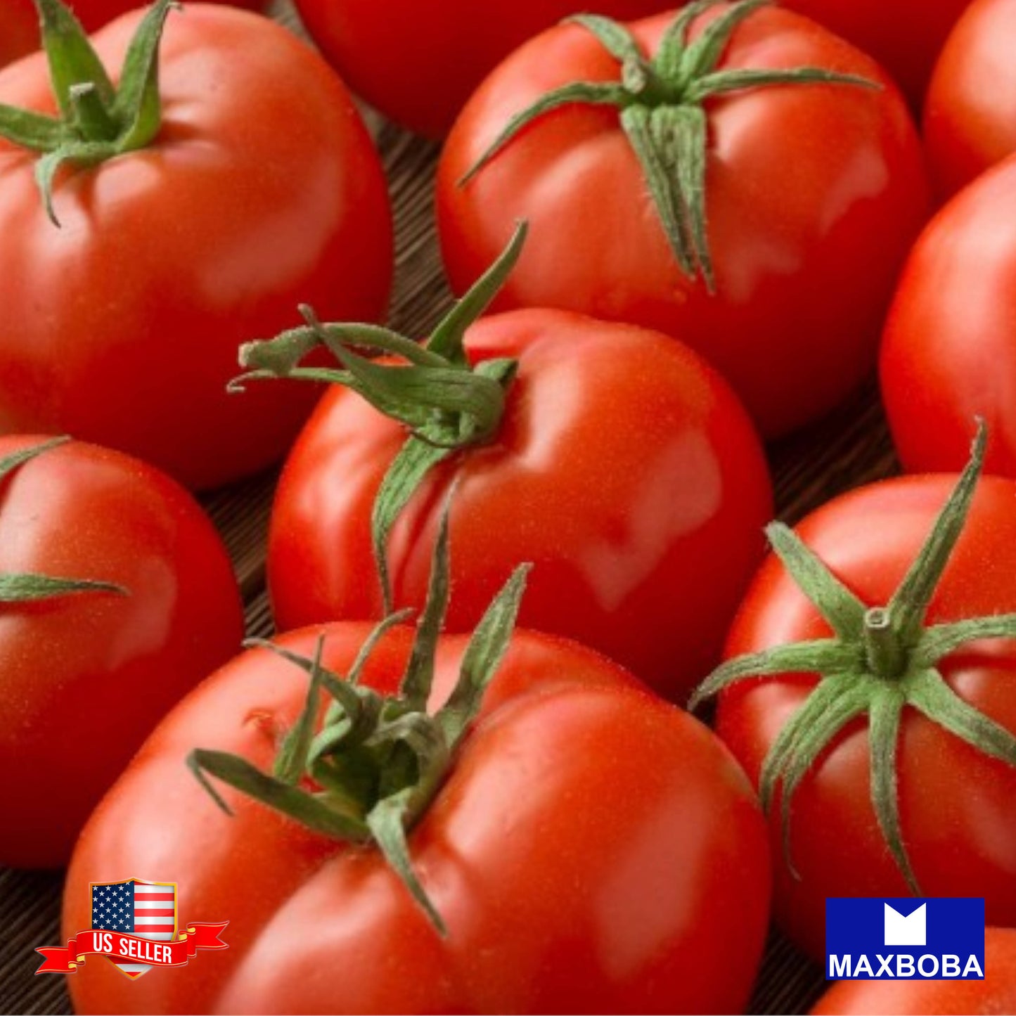 Tomato Seeds Slicing Marglobe Heirloom Vegetable Non-GMO