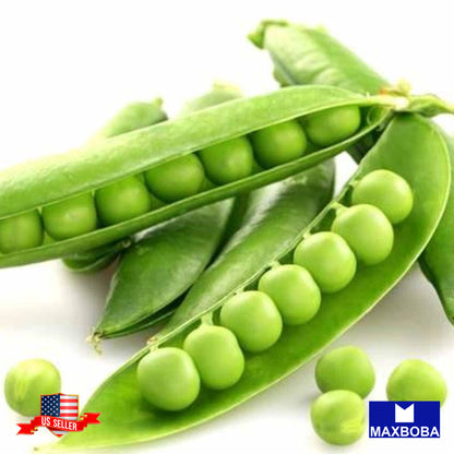 Pea Fresh Seeds - Snap - Sugar Ann Non-GMO Heirloom Garden Vegetable
