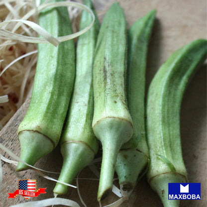 Okra Seeds - Emerald Non-GMO / Heirloom / Garden Vegetable / Fresh