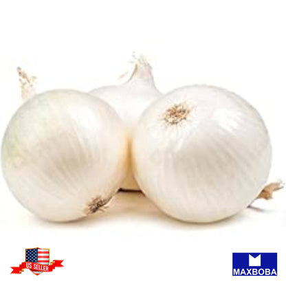 Onion Seeds Short Crystal White Wax Non-GMO Heirloom Vegetable