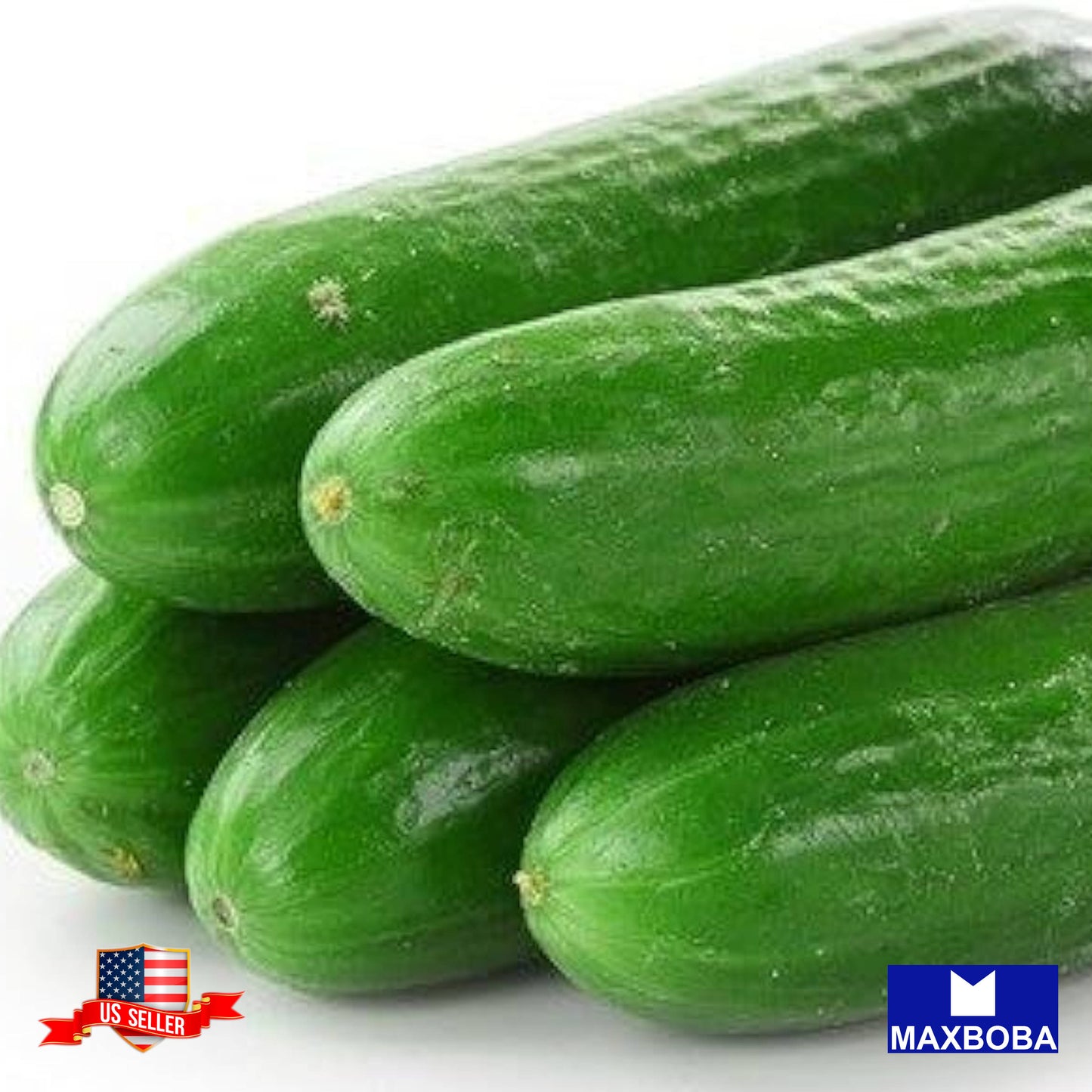 Cucumber Marketer Seeds Heirloom Vegetable Non-GMO