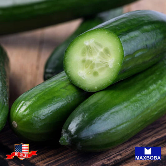 Cucumber Fresh Seeds - Beit Alpha CMR/MMR Non-GMO Heirloom Vegetable