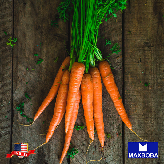 Non-GMO Carrot Seeds - Danvers 126 - Heirloom Vegetable