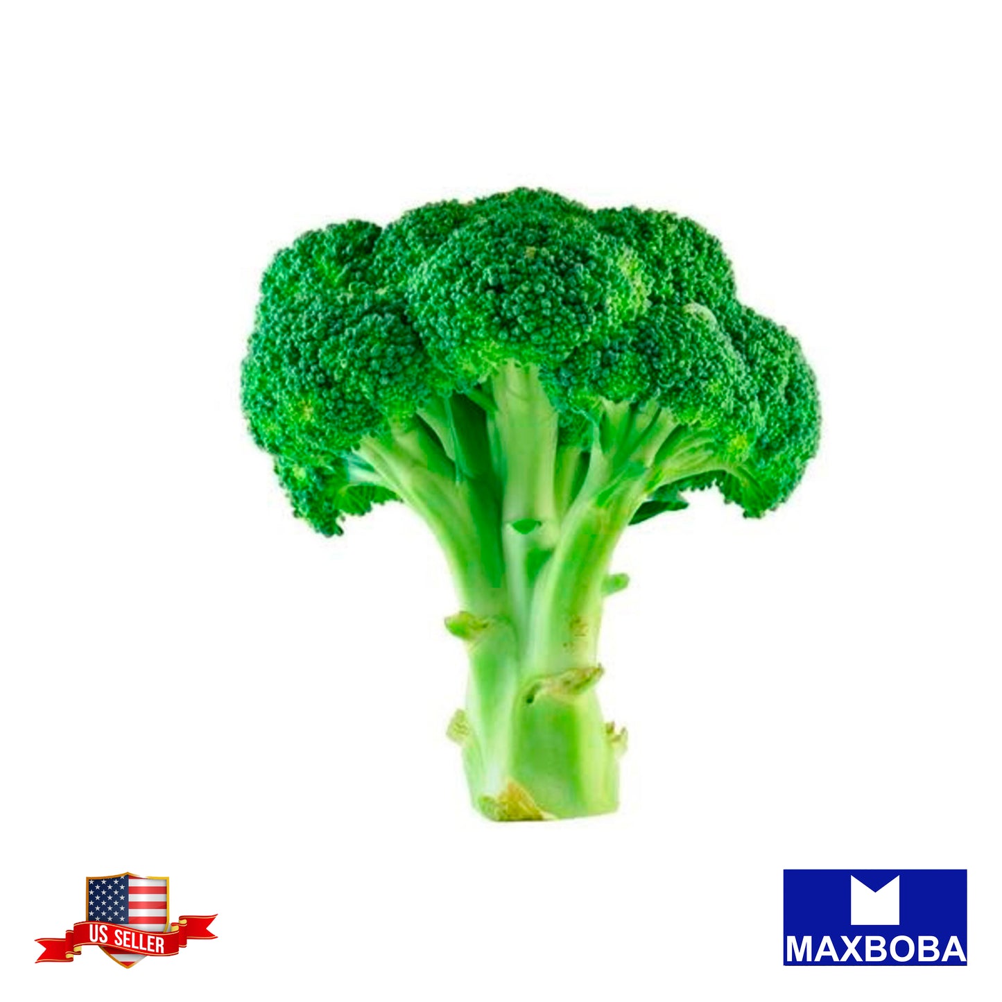 Broccoli Seeds - Green Sprouting Calabrese - Non-GMO Heirloom Vegetable