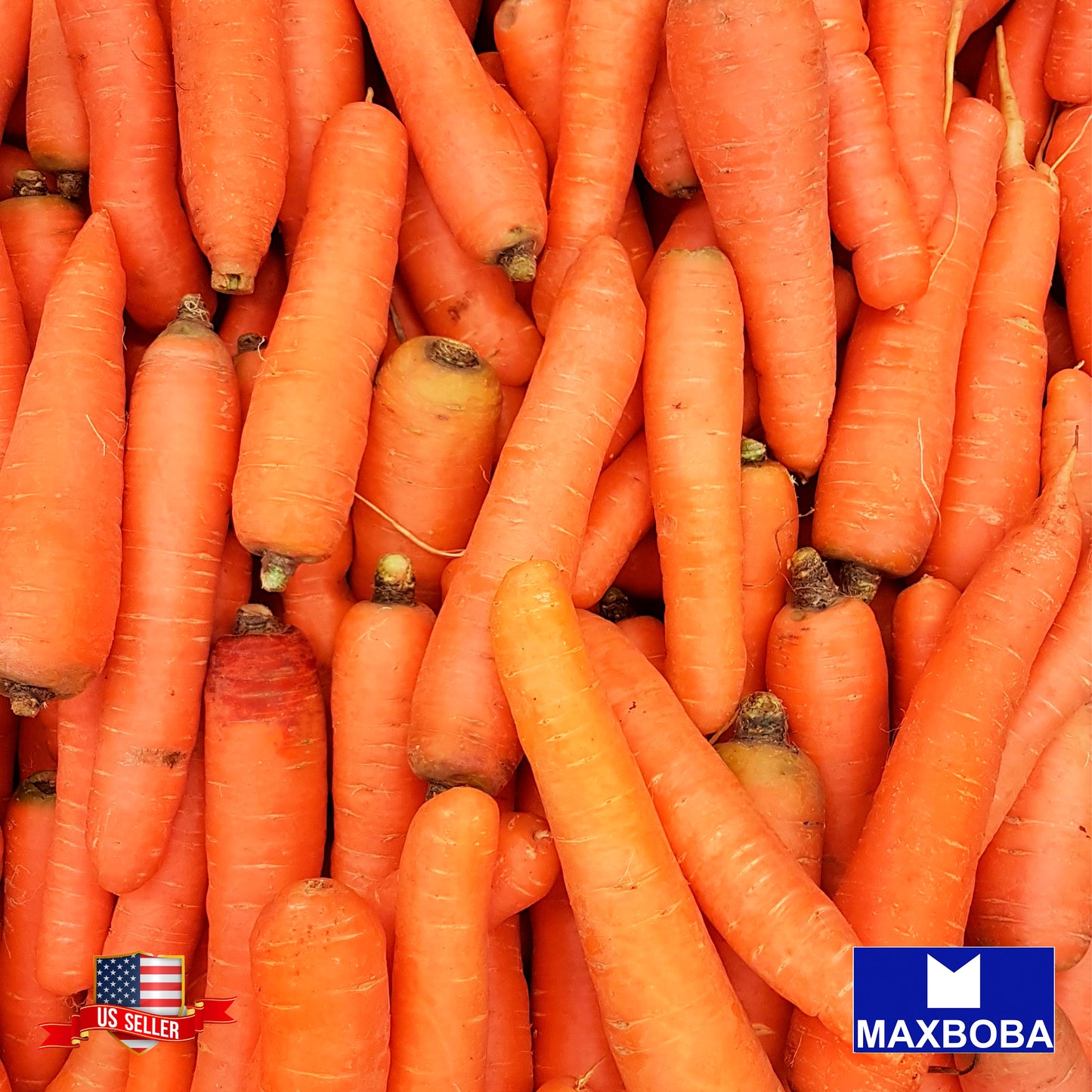 Non-GMO Carrot Seeds - Danvers 126 - Heirloom Vegetable