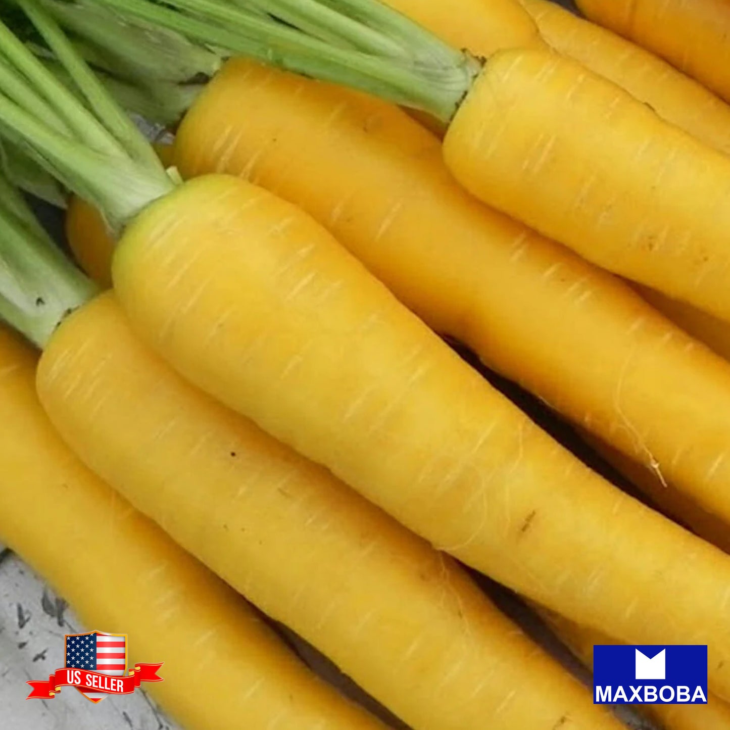 Carrot Yellow Seeds Non-GMO Heirloom Vegetable Garden