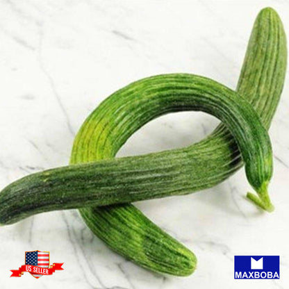Cucumber Fresh Seeds Metki Dark Green Armenian Non-GMO Heirloom Vegetable