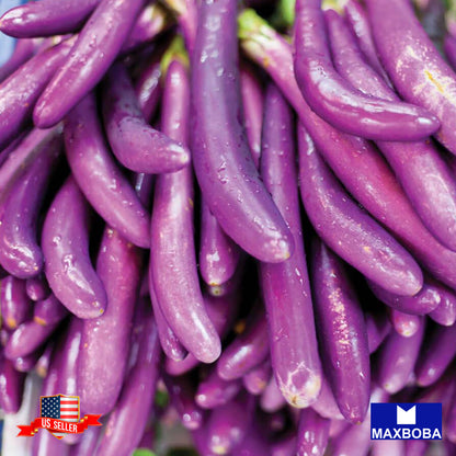 Eggplant Seeds - Long Purple (Organic) Non-GMO Heirloom Vegetable