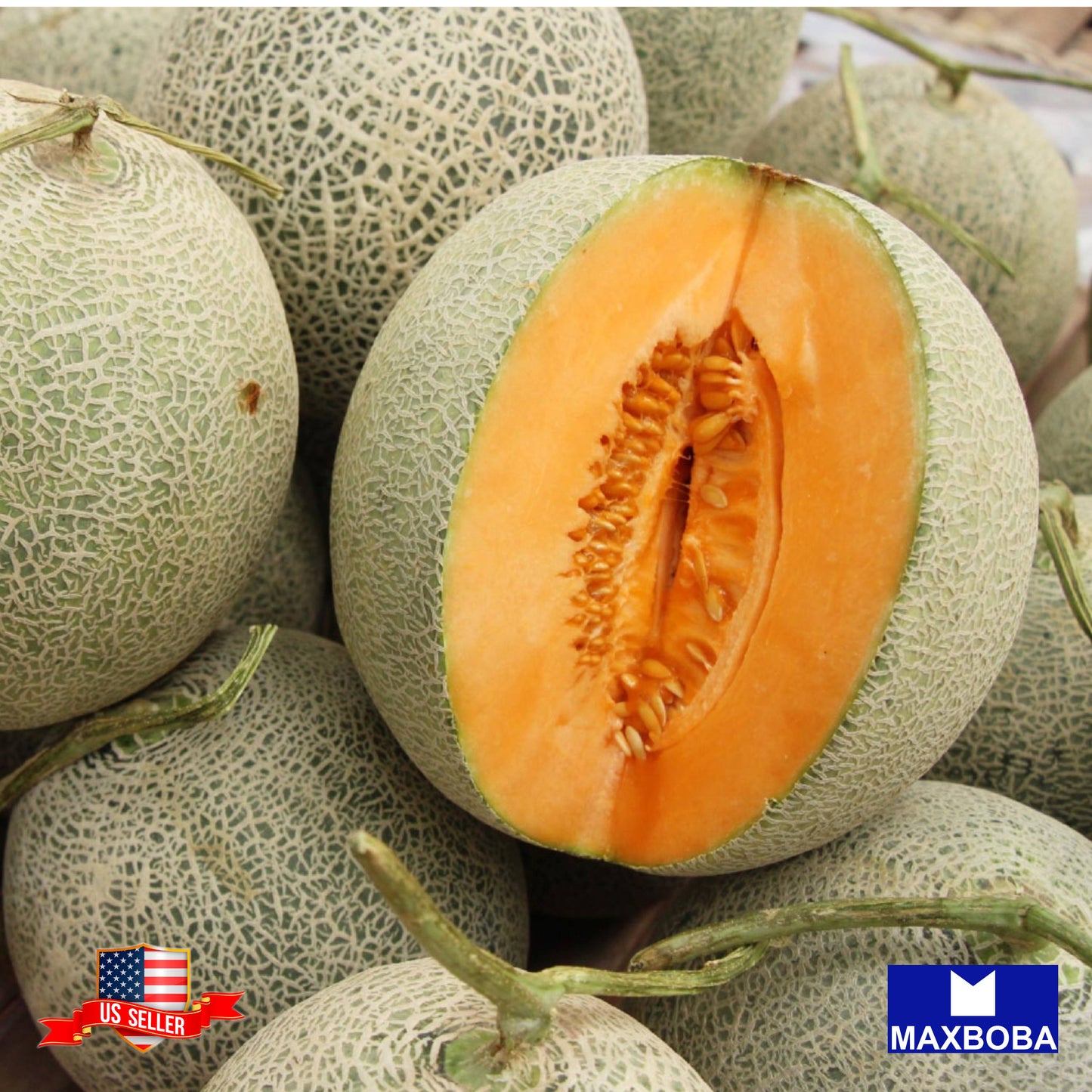 Melon Seeds - Honey Rock Non-GMO Heirloom Vegetable