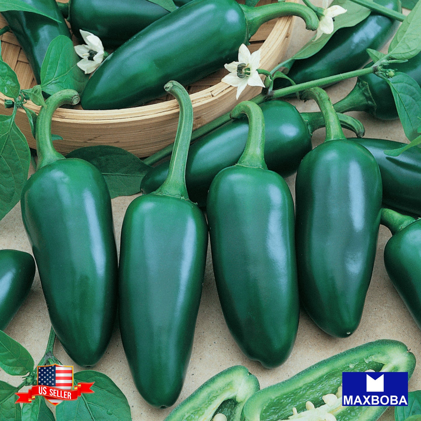 Pepper Seeds - Hot - Jalapeno M Non-GMO Heirloom Vegetable