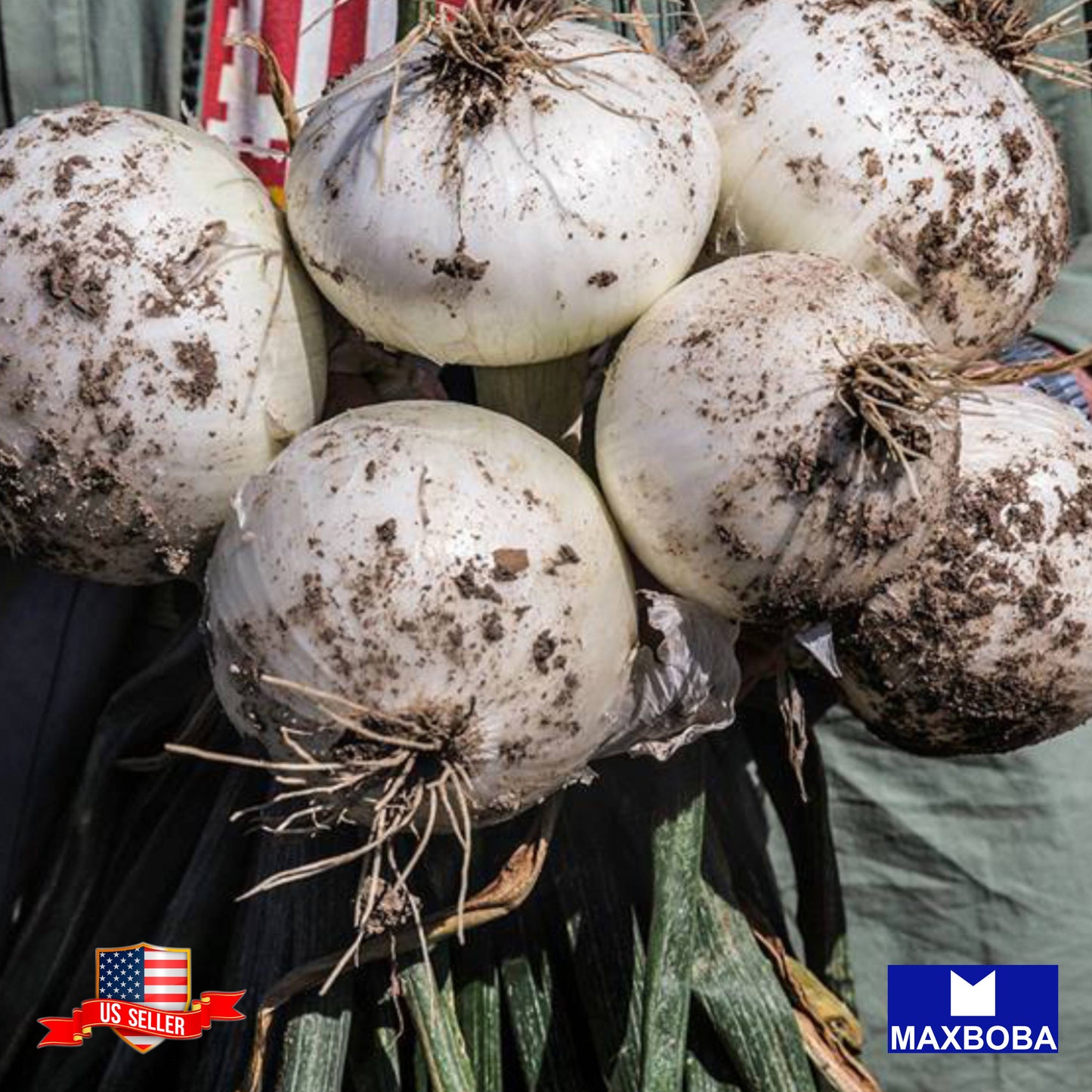 Onion Seeds - Long - White Sweet Spanish Non-GMO Heirloom Vegetable