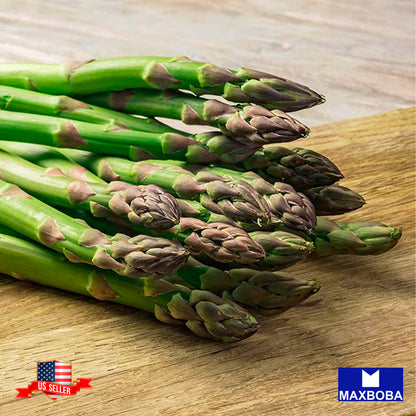 Asparagus Seeds - Mary Washington - Non GMO Heirloom and Vegetable