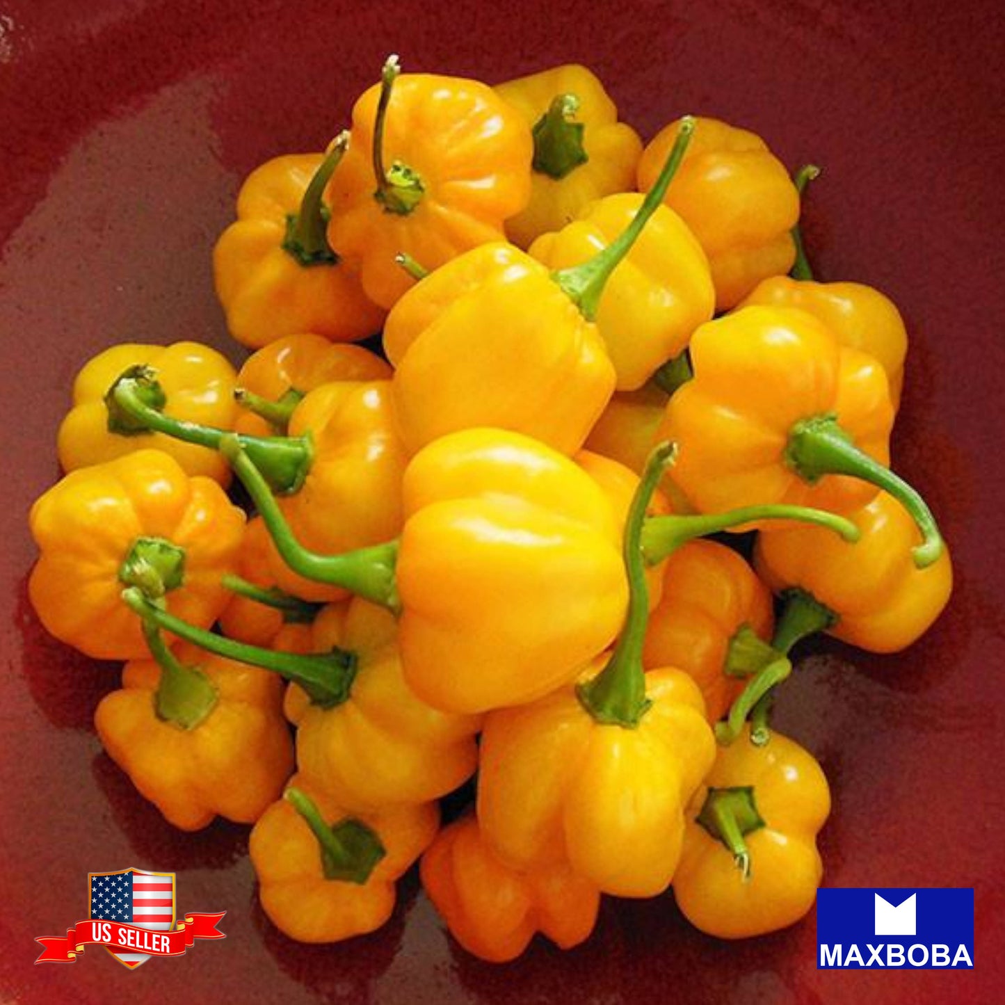 Pepper Seeds Hot Jamaican Yellow Non-GMO Vegetable