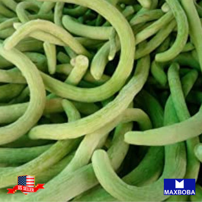Cucumber Seeds Metki Pale Green Armenian Yard-Long Heirloom Vegetable Non-GMO
