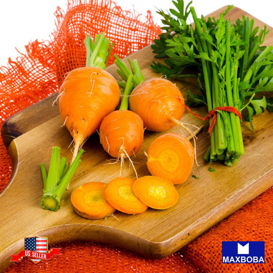 Carrot Fresh Seeds Parisian - Non-GMO Heirloom Vegetable Garden
