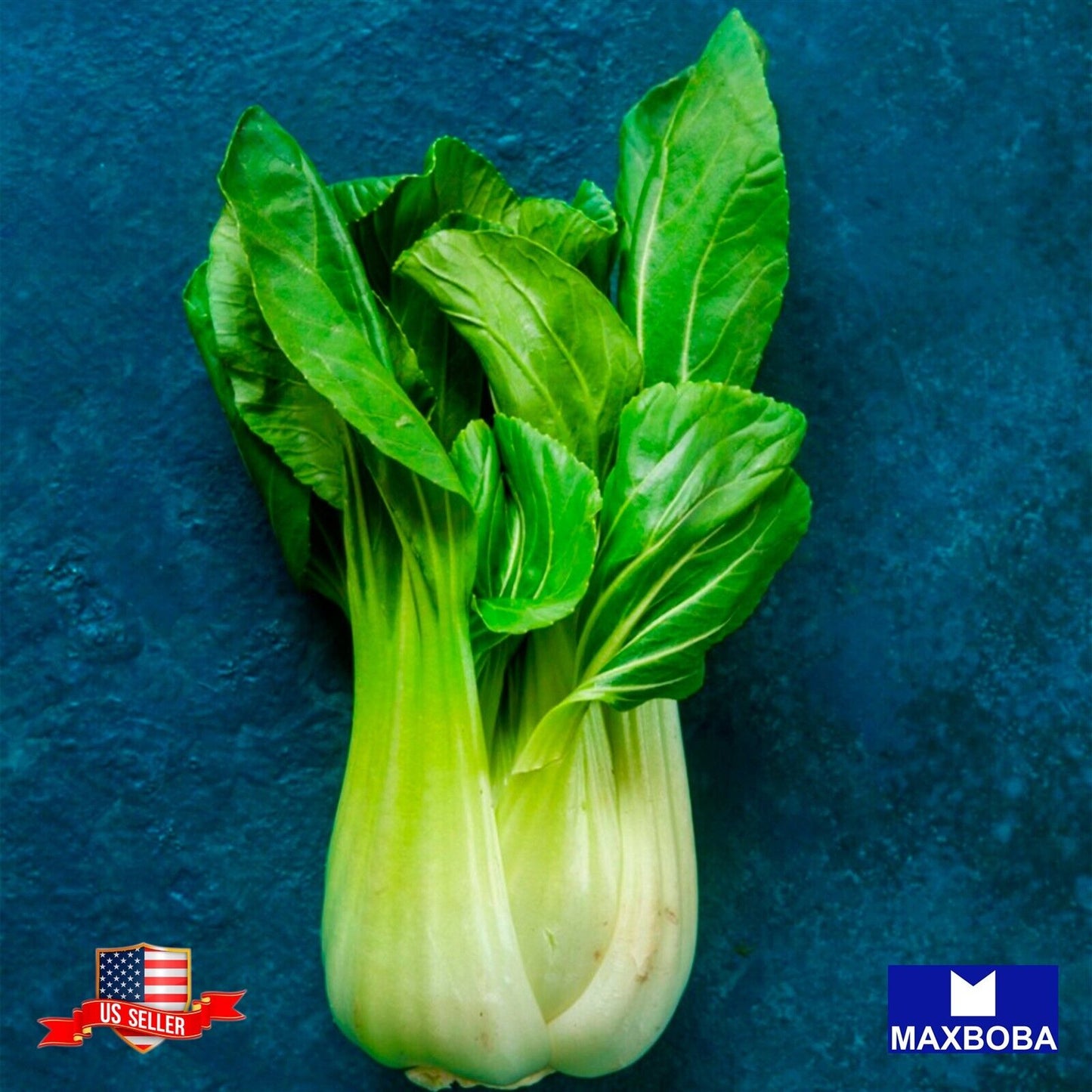 Cabbage Seeds - Pak Choi - Shanghai Non-GMO / Heirloom / Vegetable Garden