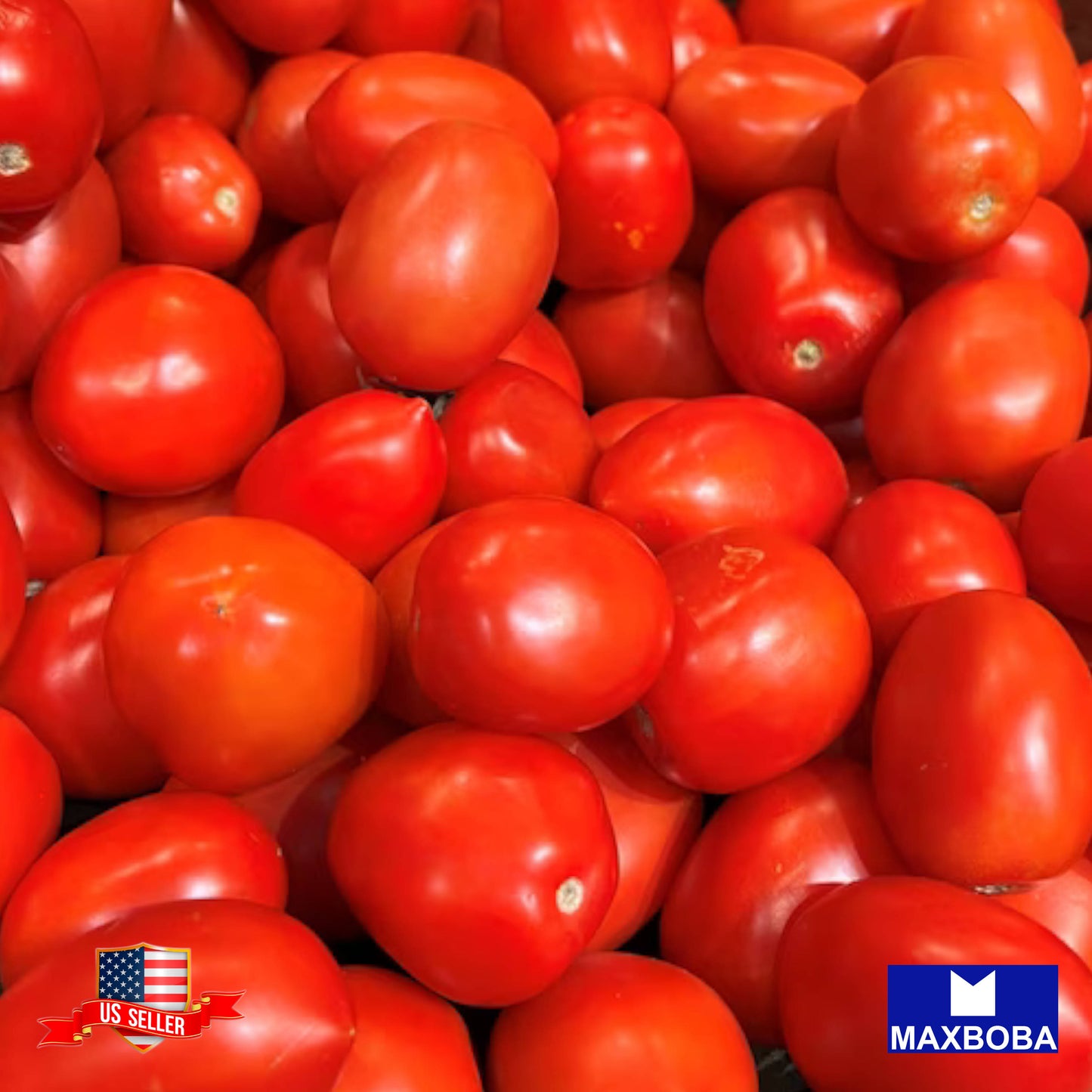 Tomato Fresh Seeds - Roma VF Non-GMO Heirloom Vegetable