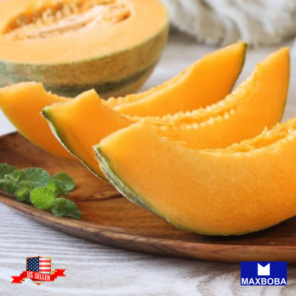 Melon Seeds - Cantaloupe - Hales Best Jumbo Vegetable Non-GMO Heirloom
